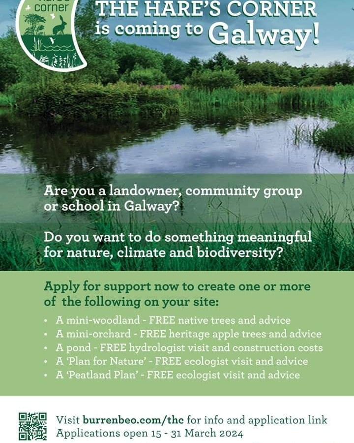 The Hare's Corner funding scheme