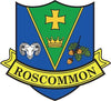 Fund of over €130,000 for community groups in Co. Roscommon – Dolan