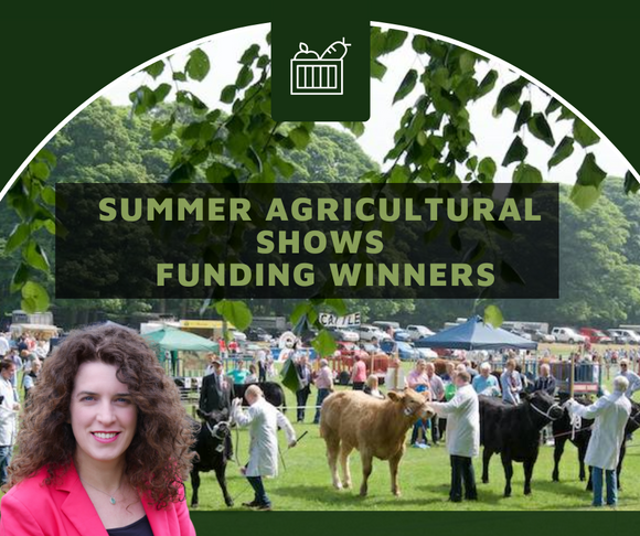 Funding for Five Shows in Roscommon this summer