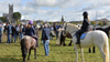 300th Annual Ballinasloe Horse Fair 2022